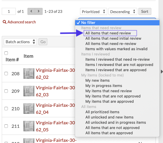 Table of items in a dataset with the filter options open. An arrow points to the option for 'all items that need review'.